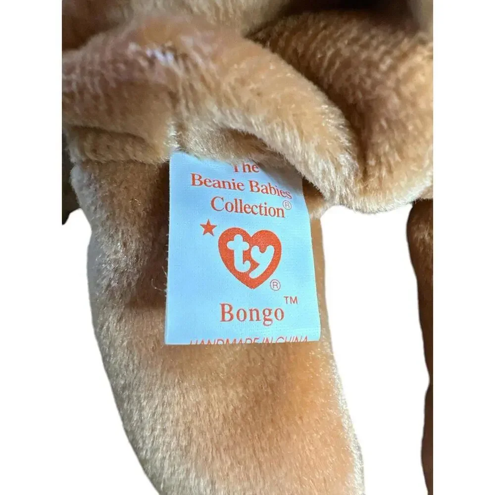 N/A bongo monkey